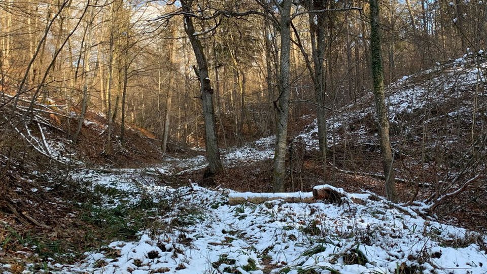 Umgebungsfoto der Studienarbeit "Ein Ort für Nichts"