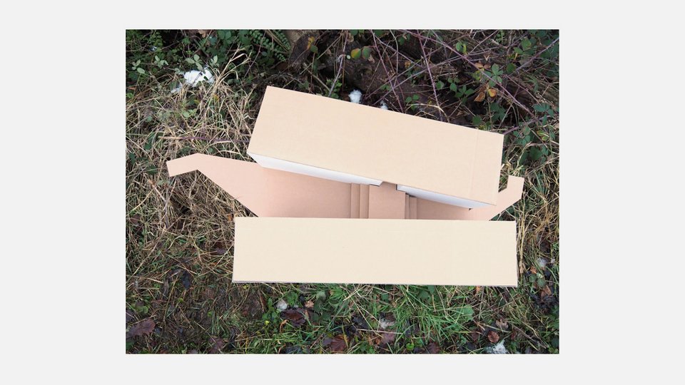 Modell der Studienarbeit "Zweig"