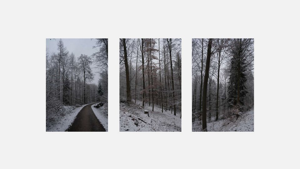 Umgebungsfotos der Studienarbeit "Wort Atelier"