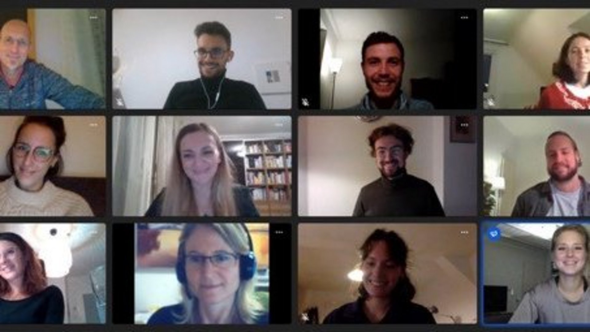 Screenshot eines Online-Meetings