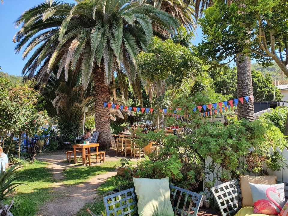 Garten mit Möbeln und Palmen