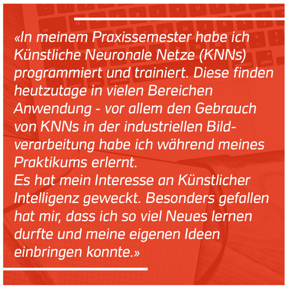 Statement zum Praxissemester: Künstliche neuronale Netze